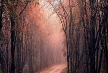 英足联赛杯是什么？它和英超、足总杯有啥不一样？