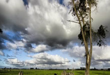 法国队和意大利队对决，谁的历史交锋更占优？战术风格又有哪些碰撞？