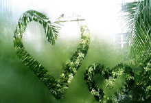 卡塔尔亚洲杯积分榜有哪些关键看点？